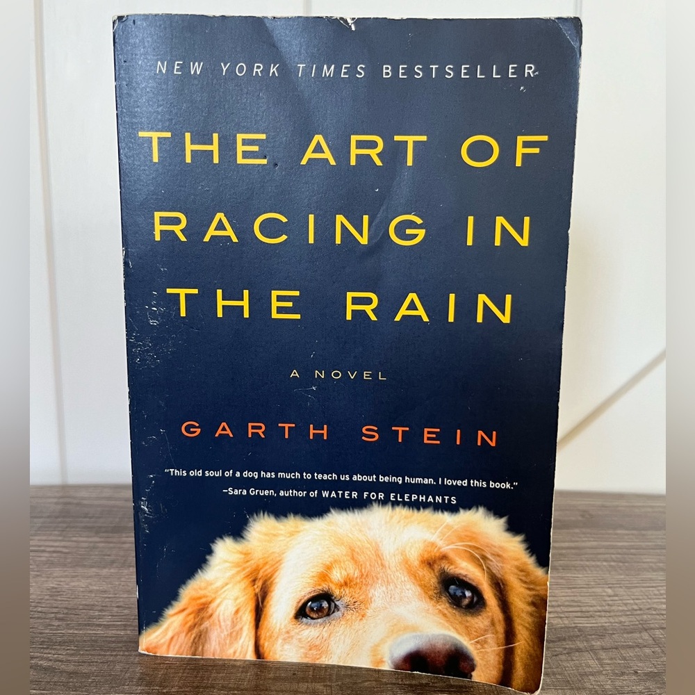 The Art of Racing in the Rain book